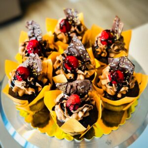 Chocolate Raspberry Cupcake