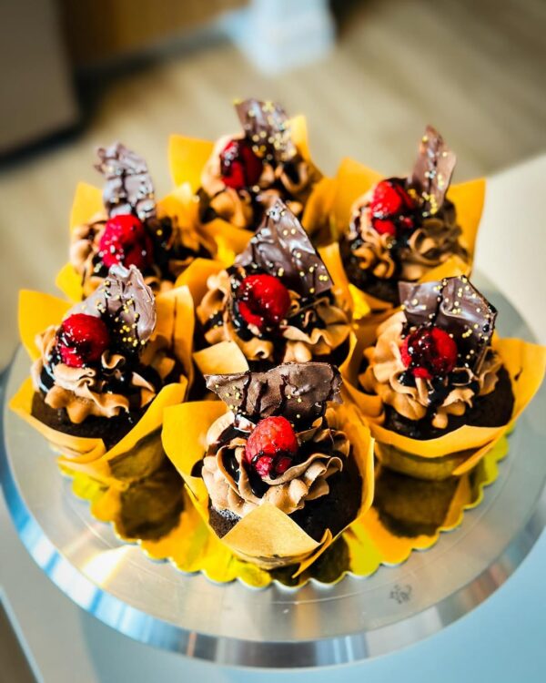 Chocolate Raspberry Cupcake